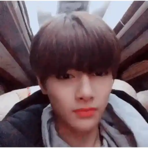 Stray Kids  2