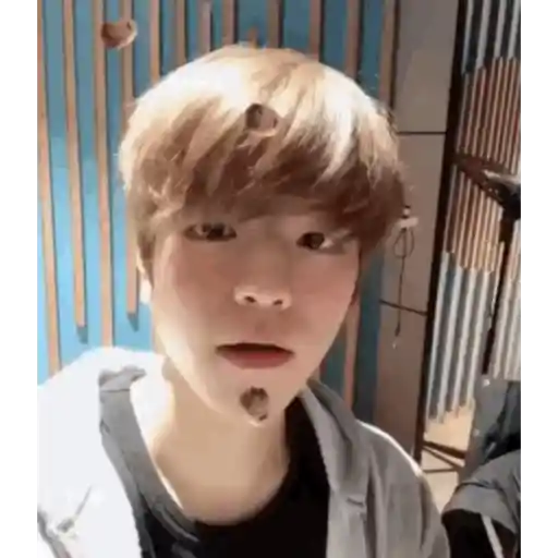 Stray Kids 