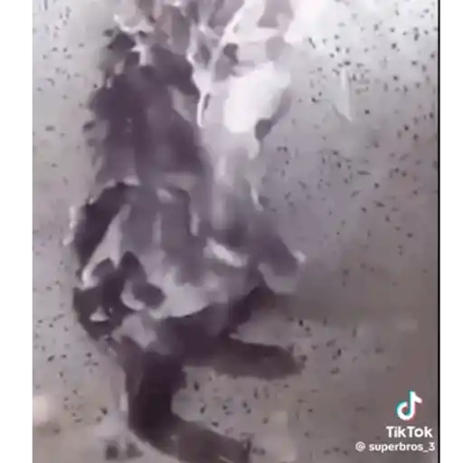 ステッカー 2