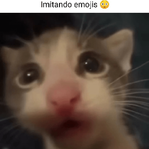 Atakkk 23
