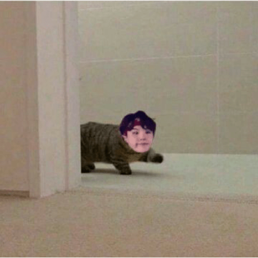 BTS 5