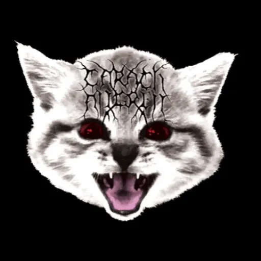🐱Gatitos Malvados🔫 16