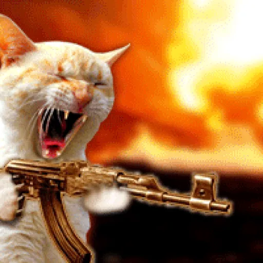 🐱Gatitos Malvados🔫 2