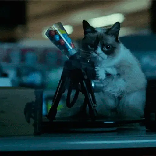 🐱Gatitos Malvados🔫 8