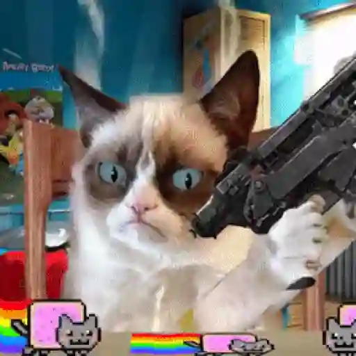 🐱Gatitos Malvados🔫 9