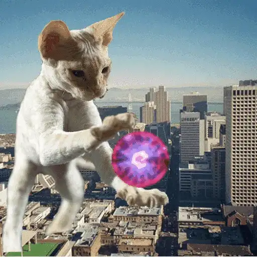 🐱Gatitos Malvados🔫 10
