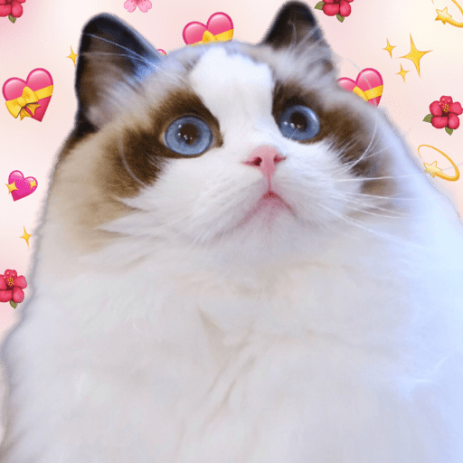 🐈Gatita🤎Tangbao🤍