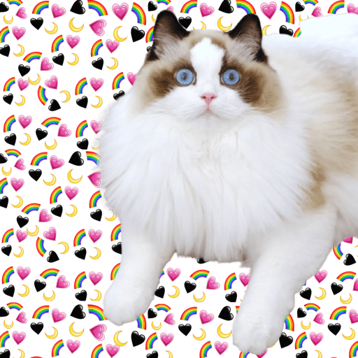 Sticker Image