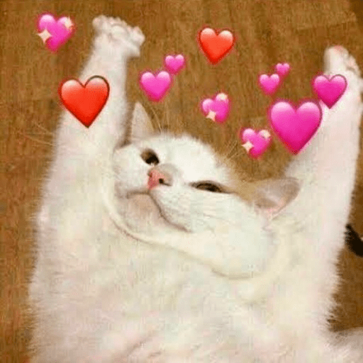 📲🐱Gatitos Para Tu Chat🐱📲 15
