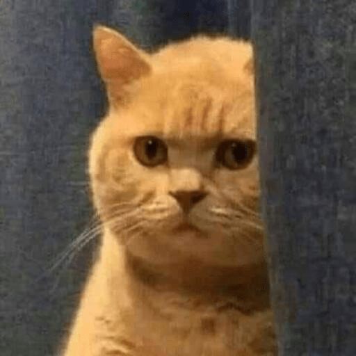 📲🐱Gatitos Para Tu Chat🐱📲 3