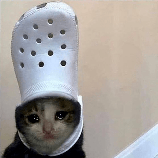 📲🐱Gatitos Para Tu Chat🐱📲 9