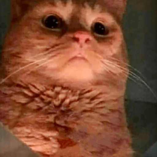 📲🐱Gatitos Para Tu Chat🐱📲 14