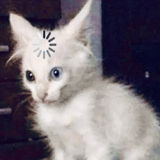 📲🐱Gatitos Para Tu Chat🐱📲 4