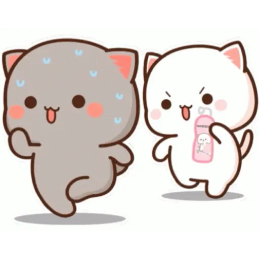 Gatitos kawaiii 12🥰😍🙈 2