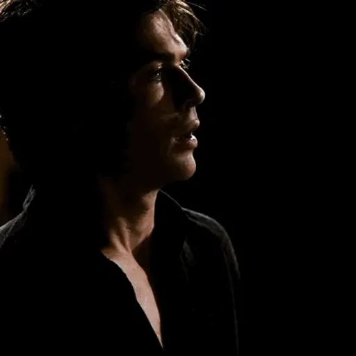 ﹫Damon Salvatore  2
