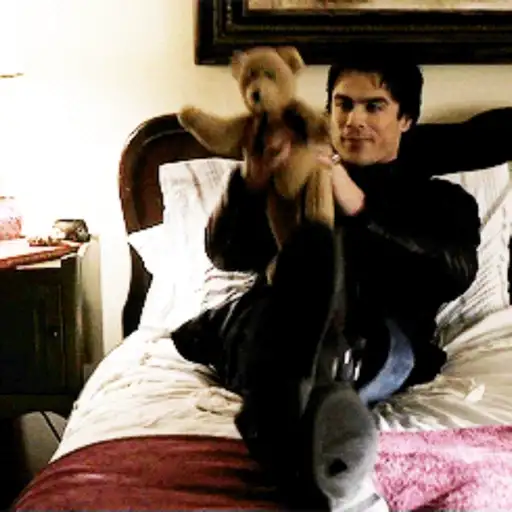 ﹫Damon Salvatore  24