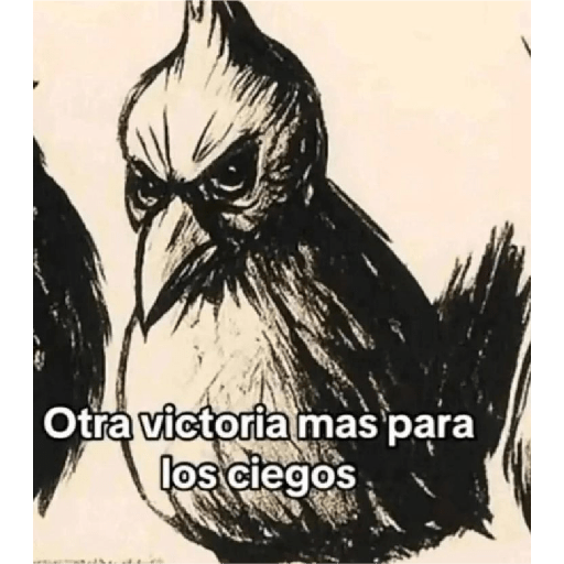 QUE ONDA MORRO, QUIERE YERBA? 5