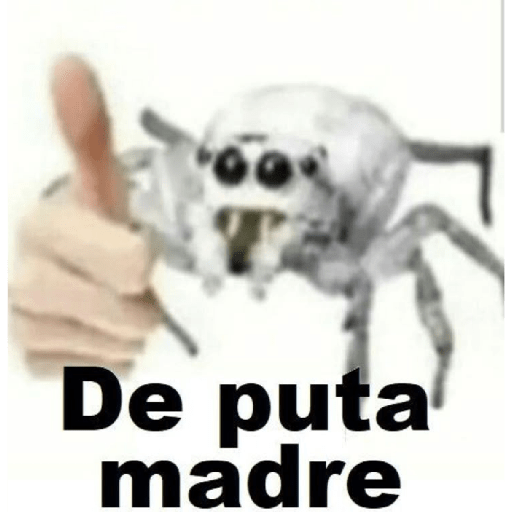 QUE ONDA MORRO, QUIERE YERBA? 8