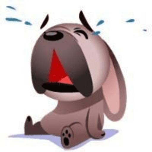 Mugsy Dog🐕🐶🐾(Messenger Dog) 13