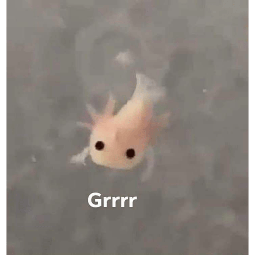 ———