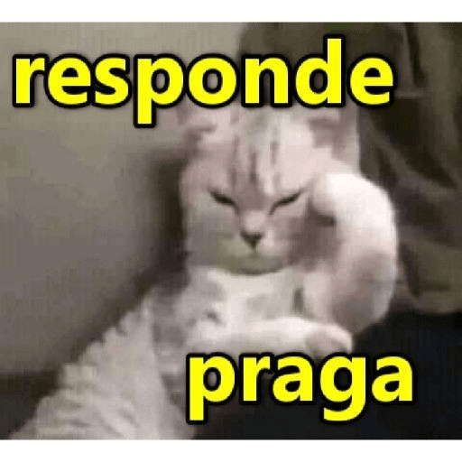Melhores reações 16