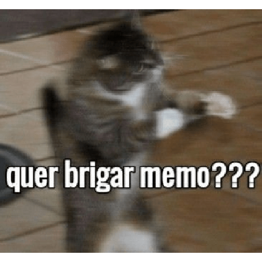 Melhores reações 15