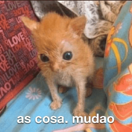 Alalalaa 16