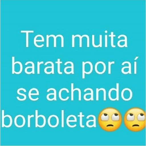 Alalalaa 24