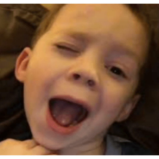 Gavin 25
