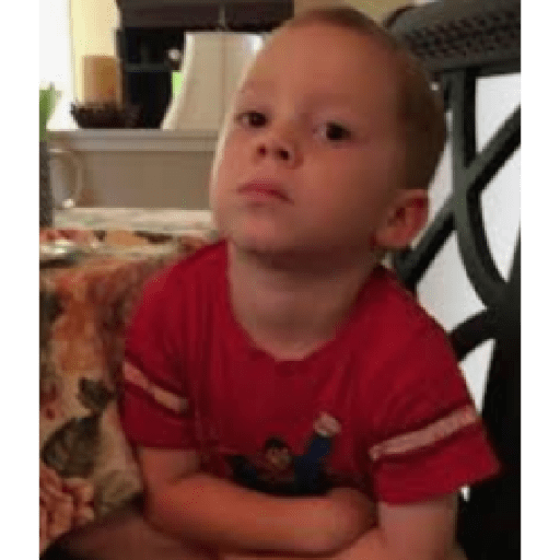 Gavin 6