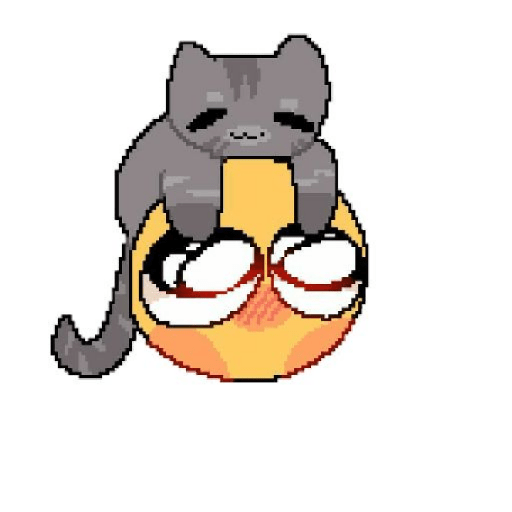 JKSJKSJKSJKS 16