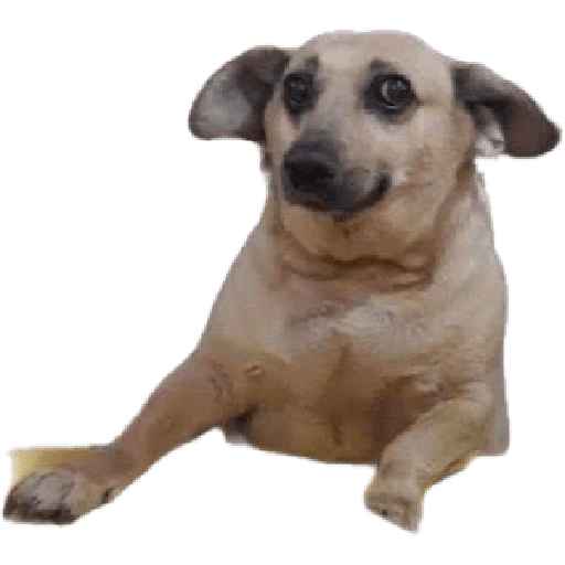 Kkkk 20
