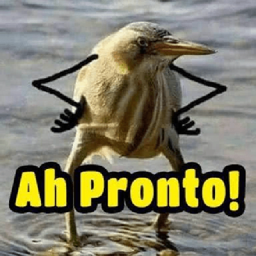 Kkkk 12