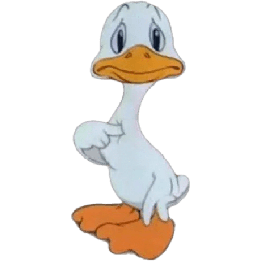 Kkkk 16