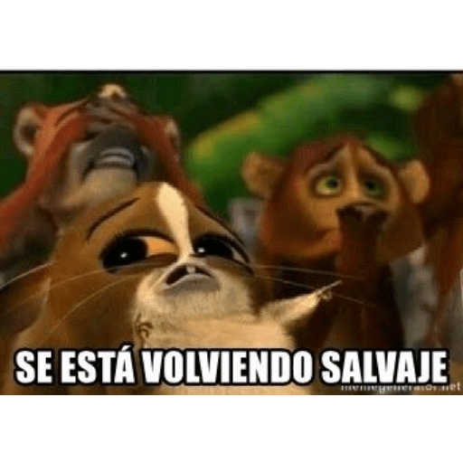 Divertido 8