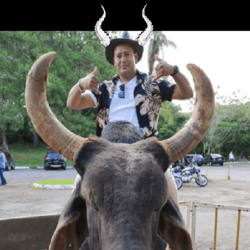 Ram pá4 24