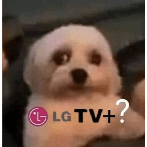 LGTV+