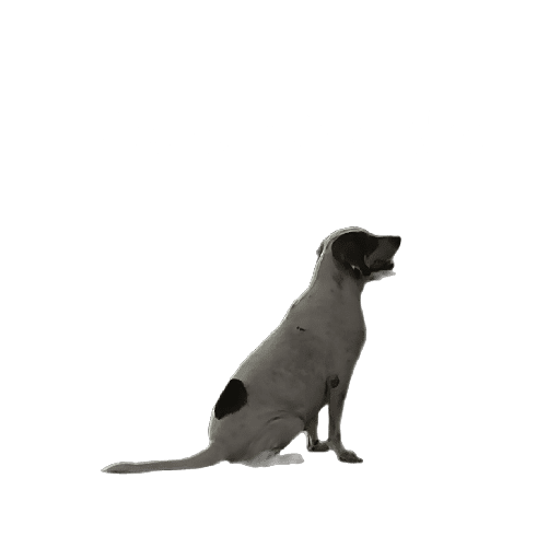 Bingo 3