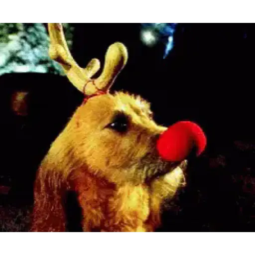 Alexyzz el Grinch 28