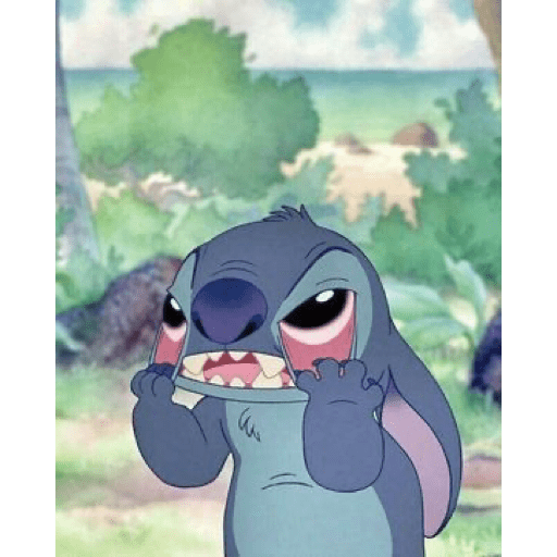 Stitch 5