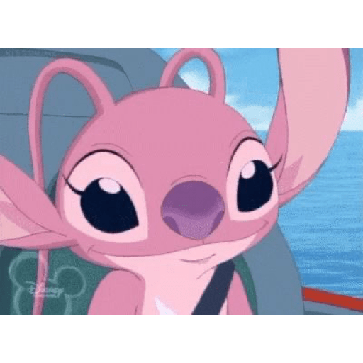 Stitch 13