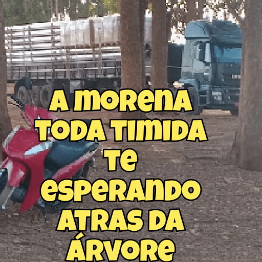 Nego meu querido 7