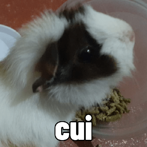 Tilin insano 4