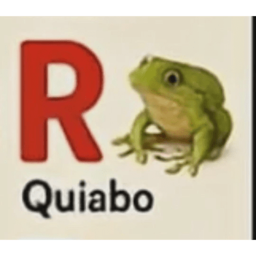 Ola 12