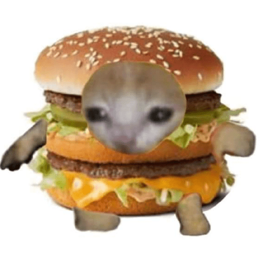 Gato comida