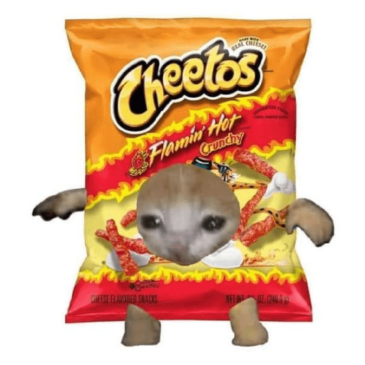 Gato comida 29