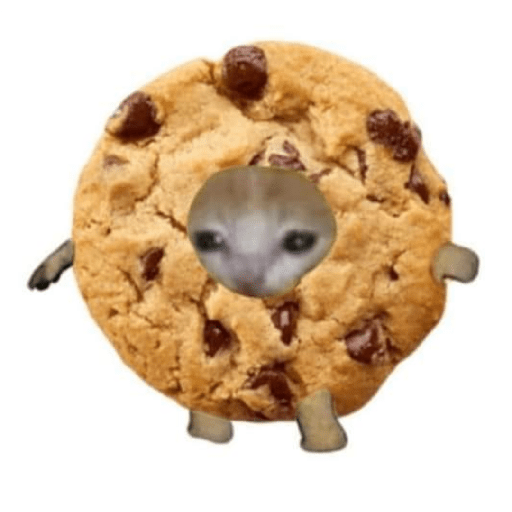 Gato comida 6