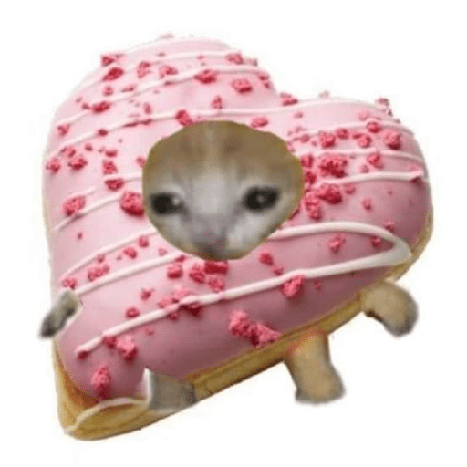 Gato comida 2