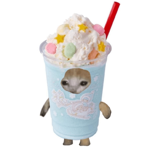 Gato comida 4