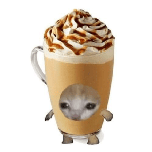 Gato comida 8